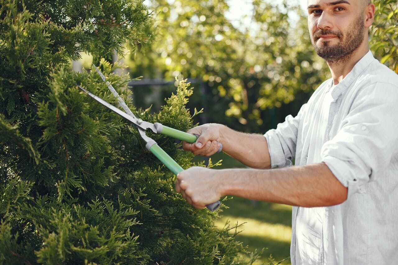  Lithonia, GA TreeGuard Tree Service Pros